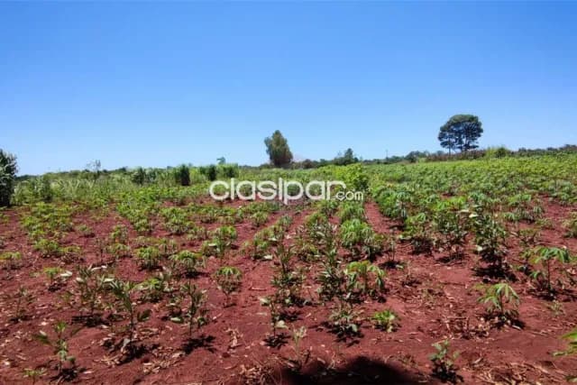 En venta 15 hectáreas en carmen del paraná 130,000 usd — foto 3