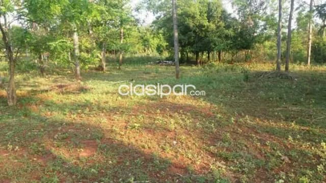 Amplio terreno nivelado en aregua, foto 4