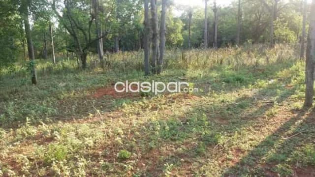 Amplio terreno nivelado en aregua, foto 5