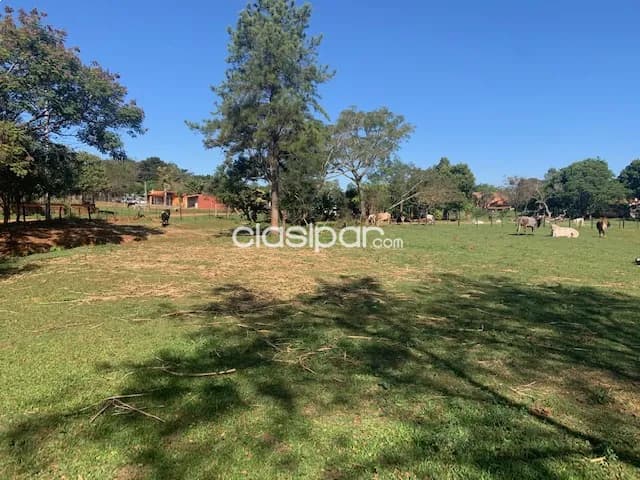 Hermoso terreno en itaugua guazu!, foto 5
