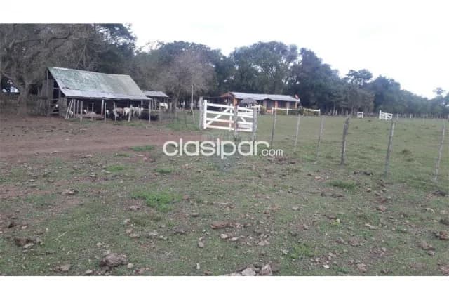 estancia agroganadera de 1100 hectáreas en Ayolas, Misiones — foto 2