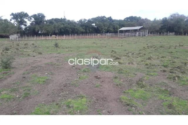 estancia agroganadera de 1100 hectáreas en Ayolas, Misiones — foto 4