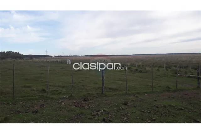 estancia agroganadera de 1100 hectáreas en Ayolas, Misiones — foto 5