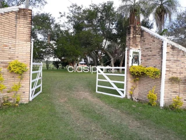 Loma grande – cordillera: Inigualable granja, 13 has de instalaciones full – 150.000 usd, foto 2