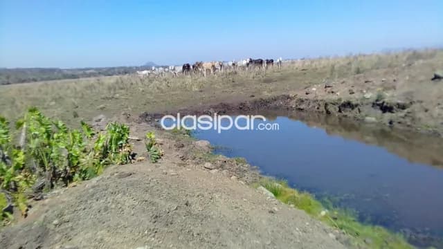 72 has. En distrito de paraguari- ex francia cue, foto 5