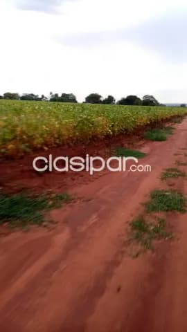 Cerrito – curuguaty: 1.000 has mecanizadas, p/ agricultura, 5.500 usd / ha — foto 3