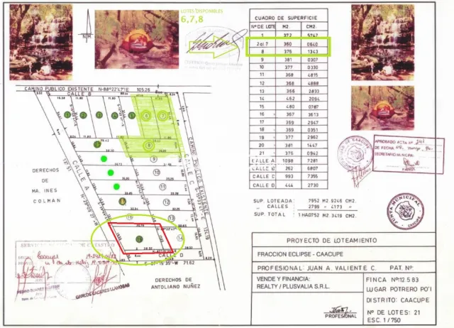 Unica Oferta!! LOTE en CAACUPÉ DETRAS UTIC, RUTA 2,para vivir, casaquinta,invertir 480m2, foto 3