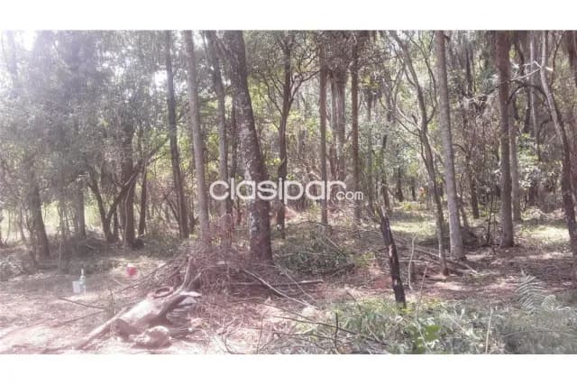 Terreno de 1,492 m2 en San Bernardino — foto 5