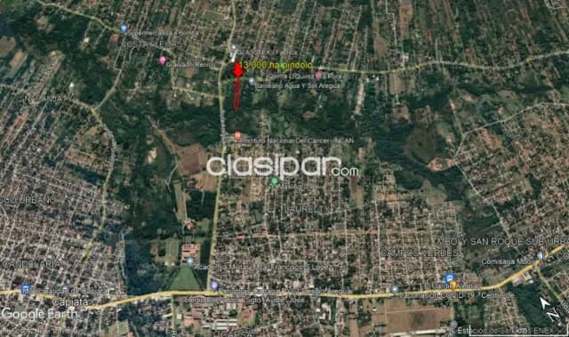 Aregua pindolo 1,3 ha, foto 3