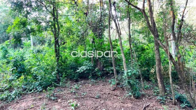Terreno en San Bernardino 7.814 m2, foto 4