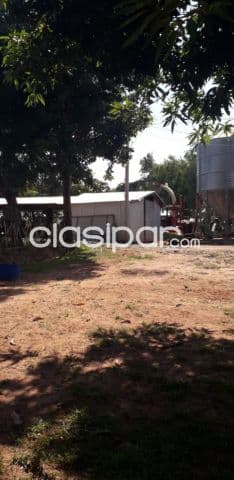 60 hectáreas. Tipo.: Tambo. Quincho.: si. 600.000 metros cuadrados. Formado. Vendo Contado
