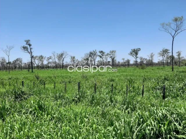 Estancia en el Chaco zona Tte Esteban Martinez - LCS4220590 — foto 3