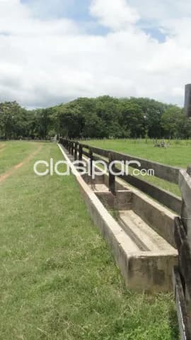 Estancia formada la colmena para ganadería engorde intensivo y semi intensivo agricultura, foto 4