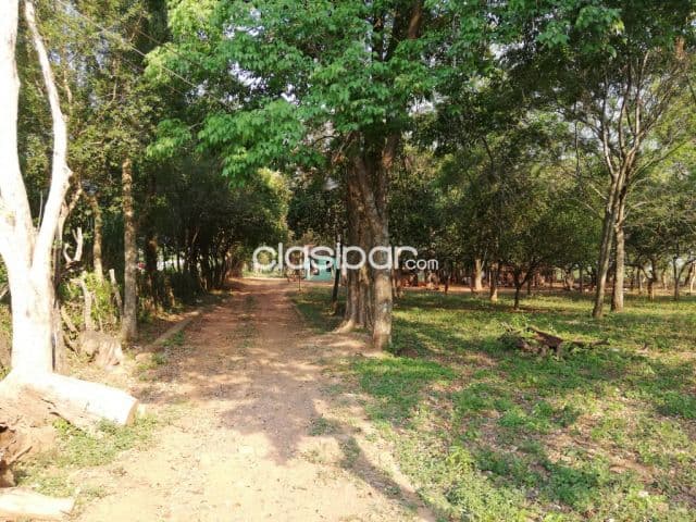 hermoso terreno zona Céntrica de 1ha y 2486 m2 en San Juan Bautista Misiones