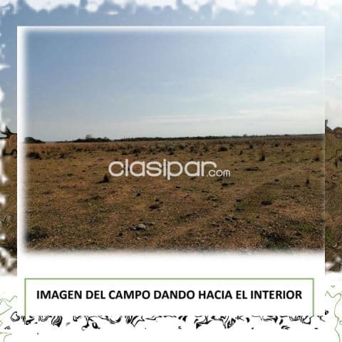 75 hectáreas. Un sólo título. Campito. Agrícola-Ganadero. Vendo en Itapúa. Cnel. Bogado