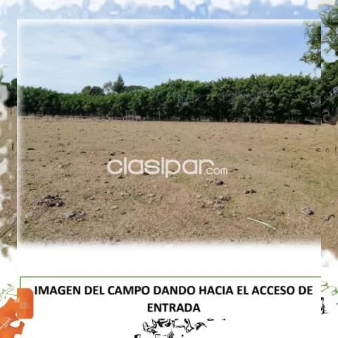 75 hectáreas. Un sólo título. Campito. Agrícola-Ganadero. Vendo en Itapúa. Cnel. Bogado — foto 3
