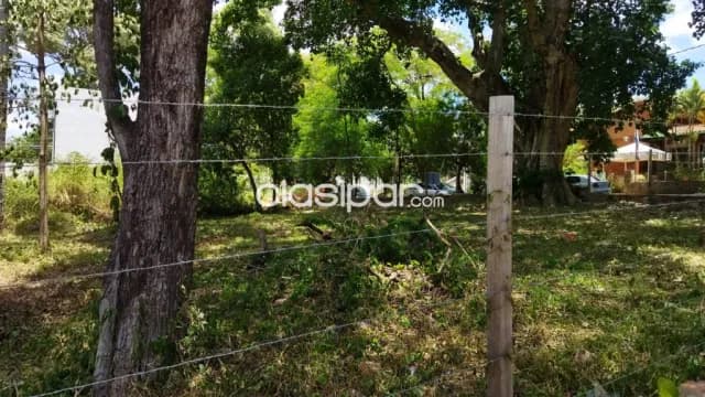 Terreno en San Bernardino Zona Centro de Salud — foto 4