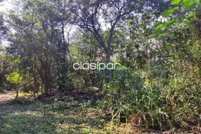 terreno en Surubi'i Hollywood, foto 4