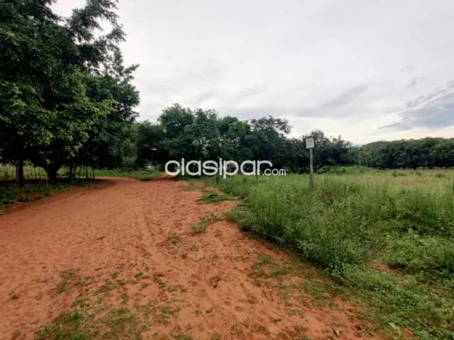 Siete lotes juntos en Luque barrio cañada garay cod 4302 — foto 3