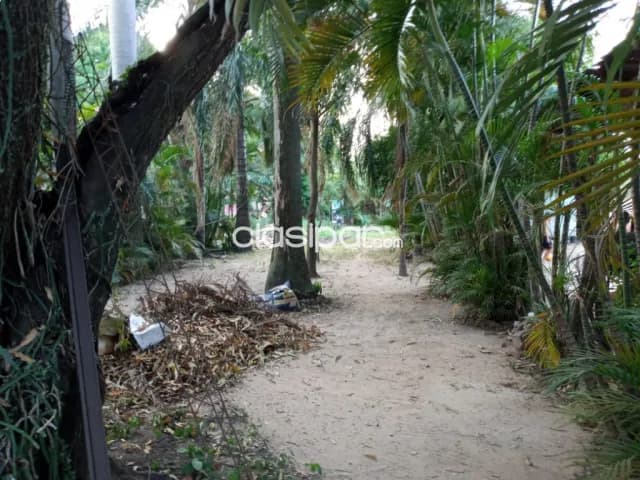 Terro con casita en Trinidad ‼️🤩, foto 5