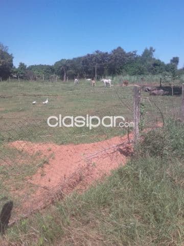 Terreno en Cnel. Oviedo a cuotas recuperado zona de mucho crecimiento para invertir