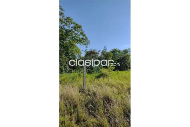 terreno de 1400 m2 en una altura en San Isidro, a pasos de la playa y costanera — foto 4