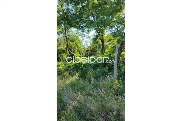 terreno de 1400 m2 en una altura en San Isidro, a pasos de la playa y costanera — foto 5