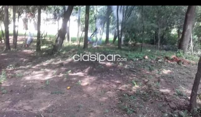 Limpio – ofertazo: 8.500m2 s/ ruta, p/ negocios, 295.000 usd — foto 5