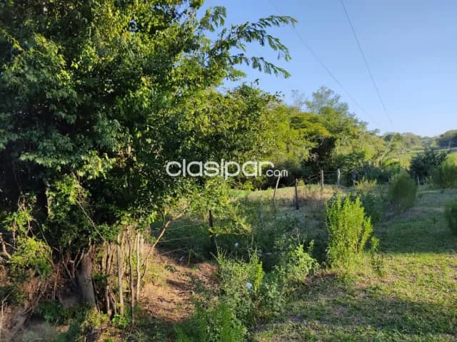 En venta 20 has. En carayaó, departamento de caaguazu — foto 4
