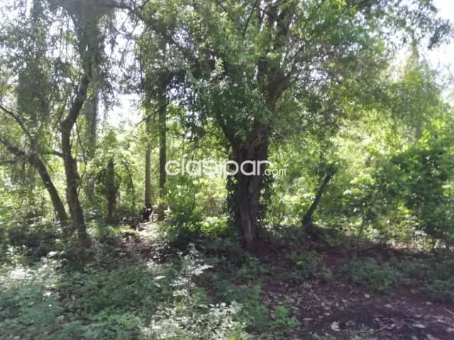 Terreno en altos cod 4334 precio: 65.000.000 gs, foto 4
