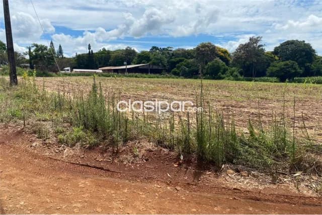 terreno de 8000 m2 sobre ruta sexta, Naranjito — foto 3