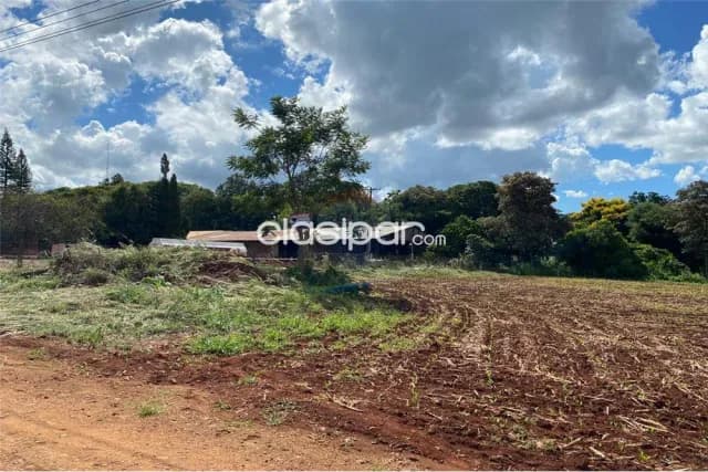 terreno de 8000 m2 sobre ruta sexta, Naranjito — foto 4