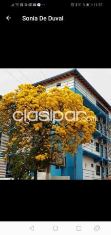 departamento — foto 1