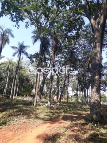 TERRENO 3.072 m² – Zona Ita Anguá, Luque, foto 1