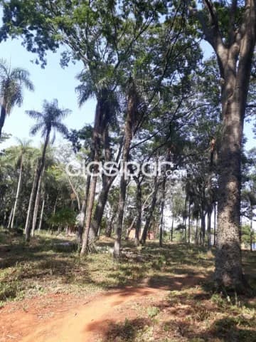 TERRENO 3.072 m² – Zona Ita Anguá, Luque, foto 2