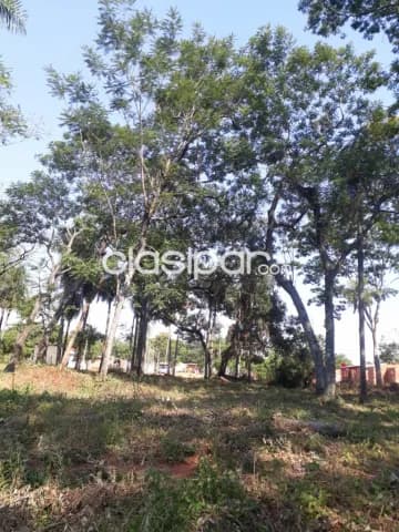 TERRENO 3.072 m² – Zona Ita Anguá, Luque, foto 4