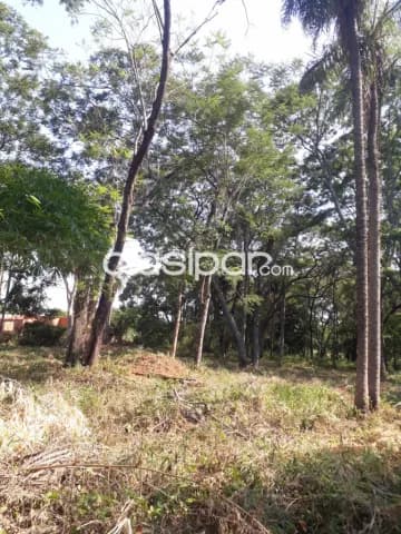 TERRENO 3.072 m² – Zona Ita Anguá, Luque, foto 5