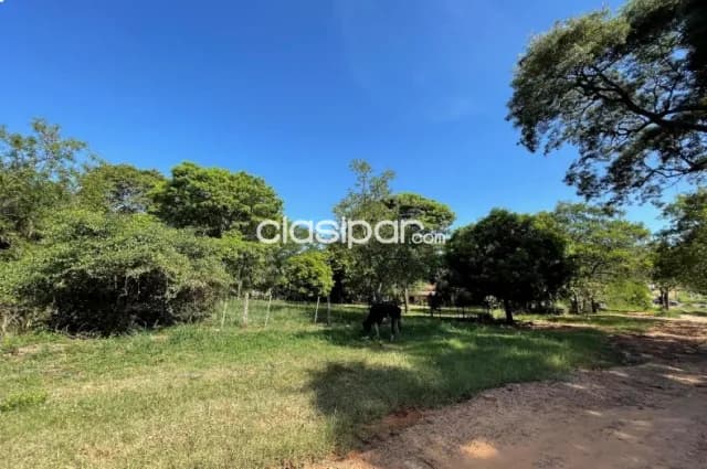 Terreno en venta ruta Luque - San Bernardino — foto 2