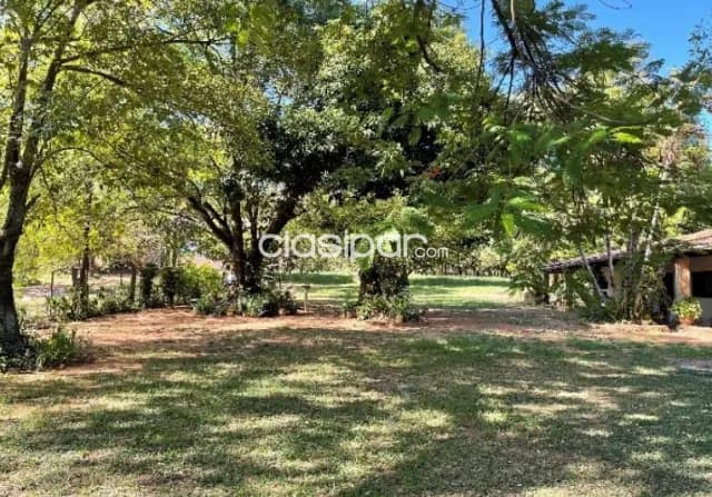 Terreno en venta ruta Luque - San Bernardino — foto 3