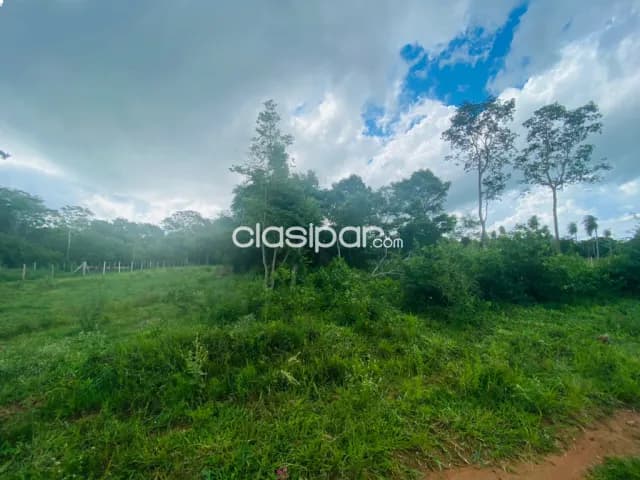 Terreno en barrero grande — foto 4