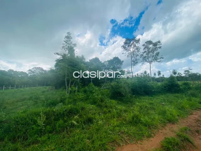 Terreno en barrero grande — foto 5