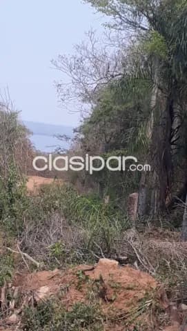 San ber, zona ybu. Ciervo cua..vendo 7.3 y 12.7 has, foto 5