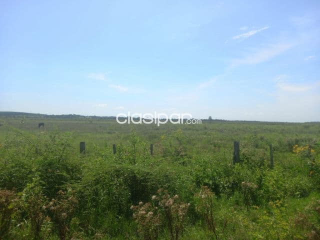Seis hectareas en benjamin aceval cod 4385 — foto principal