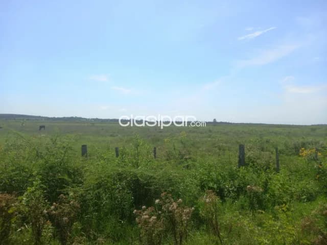 Seis hectareas en benjamin aceval cod 4385 — foto 2