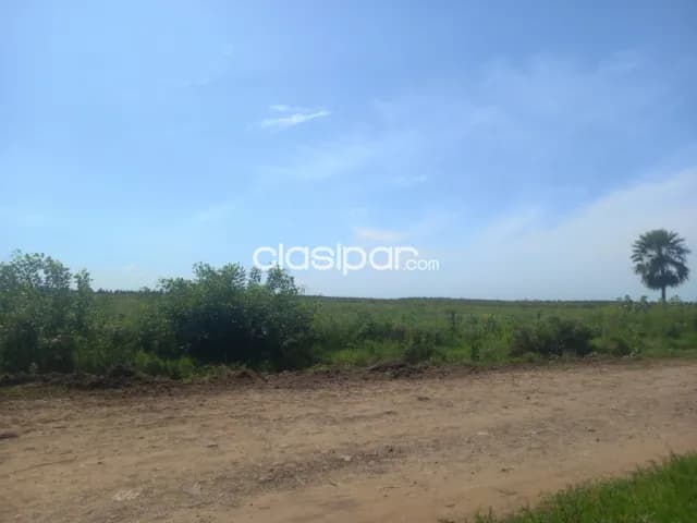 Seis hectareas en benjamin aceval cod 4385 — foto 3