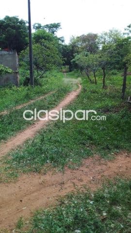Luque – aregua: 30 has, ideal p/ loteamientos, condominios, etc. 180.000.000 gs/ ha — foto 1