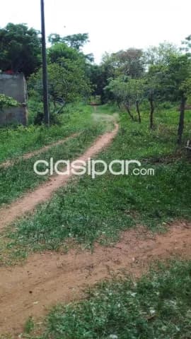 Luque – aregua: 30 has, ideal p/ loteamientos, condominios, etc. 180.000.000 gs/ ha — foto 2