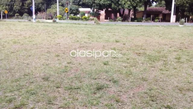 Luque – aregua: 30 has, ideal p/ loteamientos, condominios, etc. 180.000.000 gs/ ha — foto 3