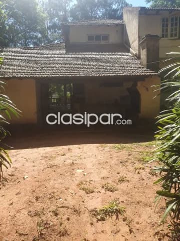 Luque – areguá: 8.000m2, nivelado, arbolado, p/ emprendimientos inmobiliarios–130.000 usd — foto 2