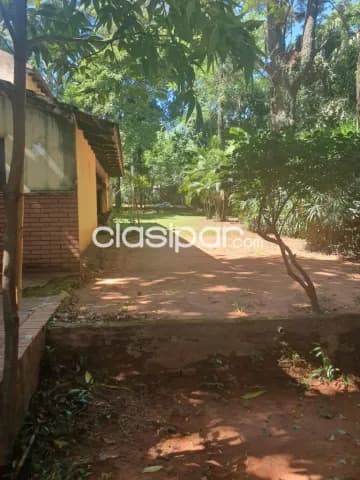 Luque – areguá: 8.000m2, nivelado, arbolado, p/ emprendimientos inmobiliarios–130.000 usd — foto 4